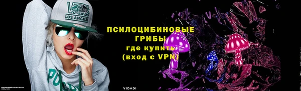 винт Костерёво