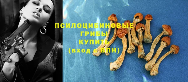 марки lsd Козловка