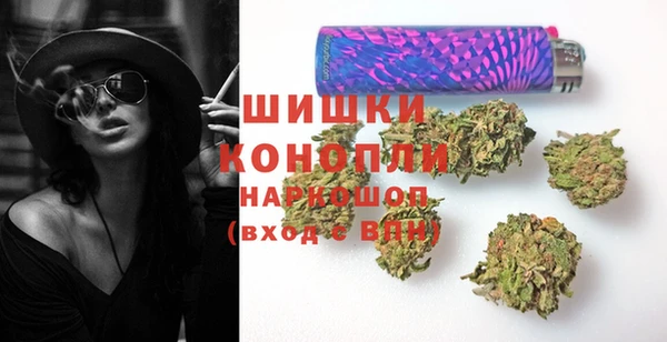 стафф Козельск