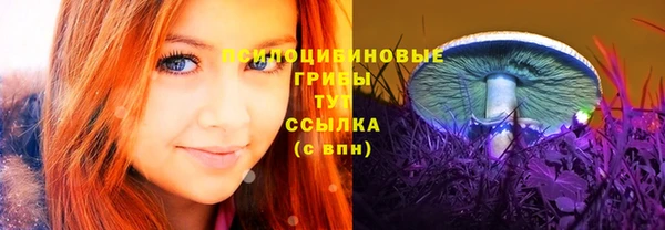 mdpv Видное