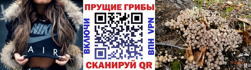 Галлюциногенные грибы мицелий  где найти наркотики  Маркс 