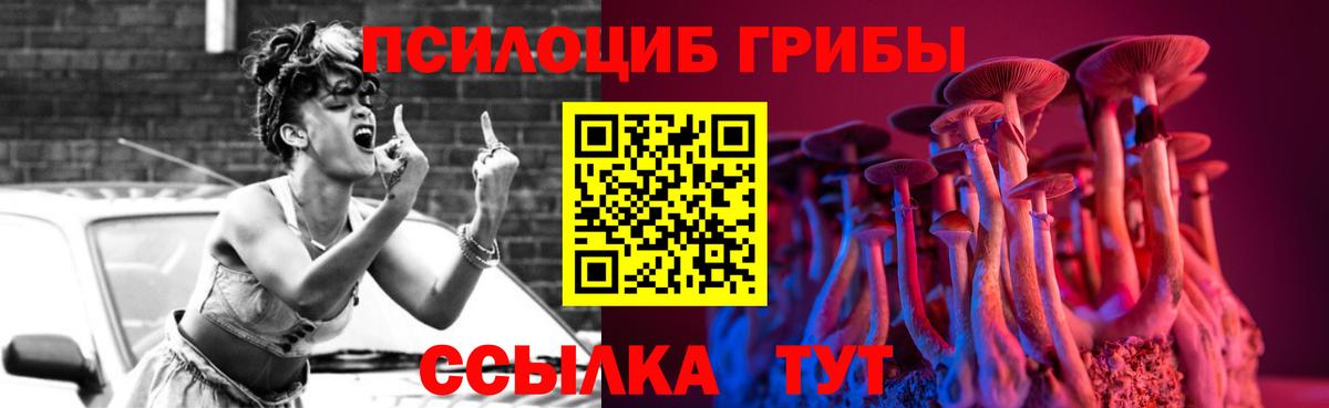 Псилоцибиновые грибы GOLDEN TEACHER  Маркс 