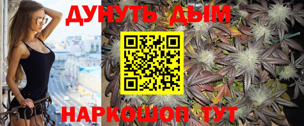 Бошки Шишки Amnesia  Маркс  Канабис Amnesia 